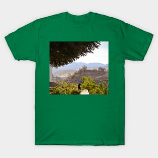 Cat And Beautiful Panoramic View T-Shirt